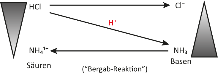 Protolyse-Schema für die Bildung von Ammoniumchlorid
