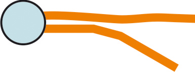 02 ta phospholipide - klein symole