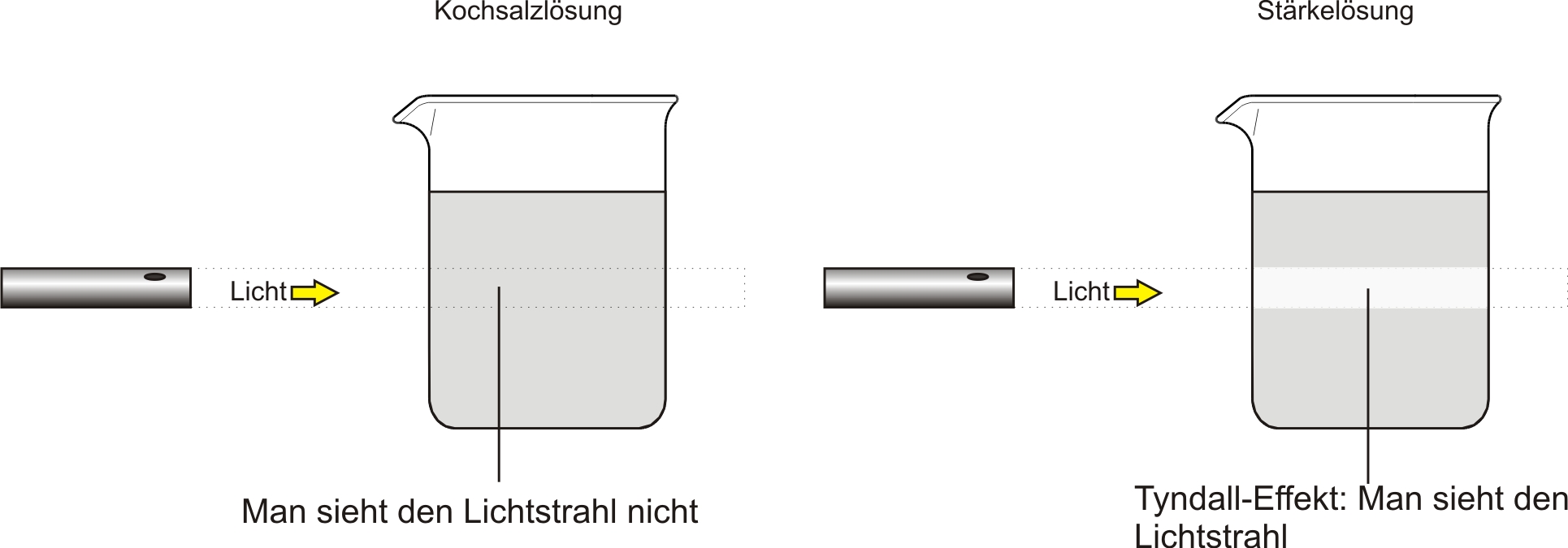 Versuchsaufbau zum Tyndall-Effekt einmal Kochsalzlösung und einmal Stärkelösung