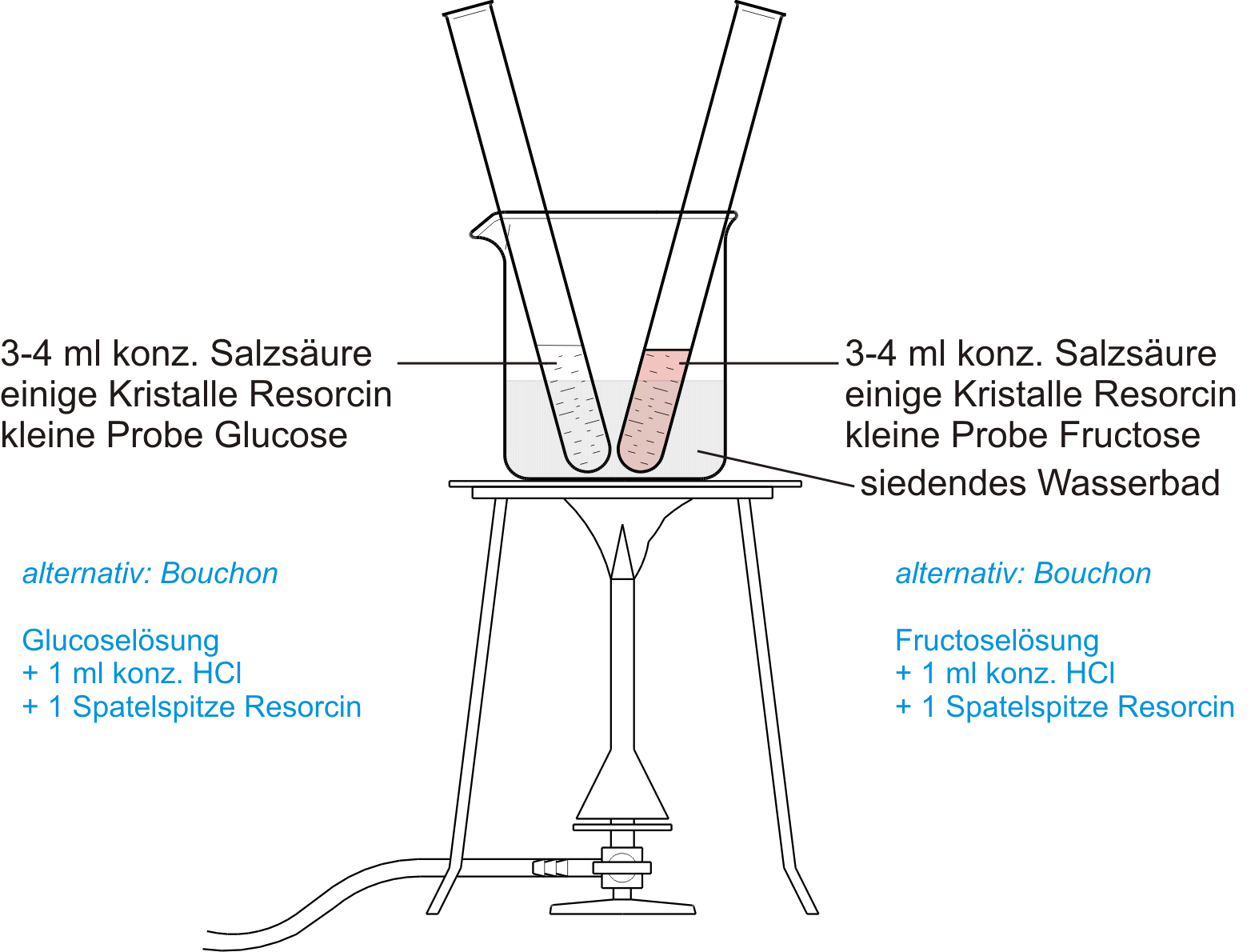 Versuchsaufbau: Seliwanow im Wasserbad; Fructose wird rosa / rot; Glucose und Seliwanow bleiben farblos