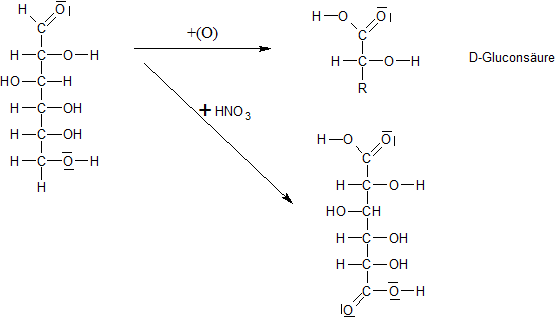 Lewis-Formeln Glucose zu Gluconsäure und Dicarbonsäure
