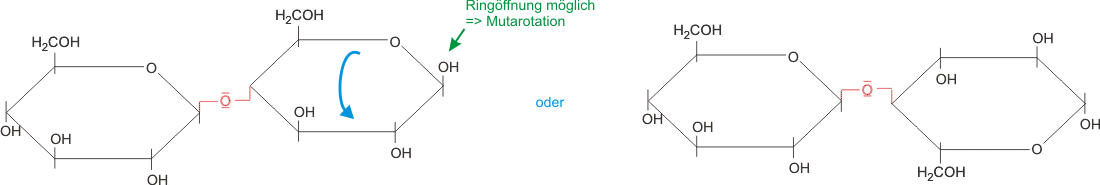 Verknüpfung von beta-Glucose zu Cellobiose