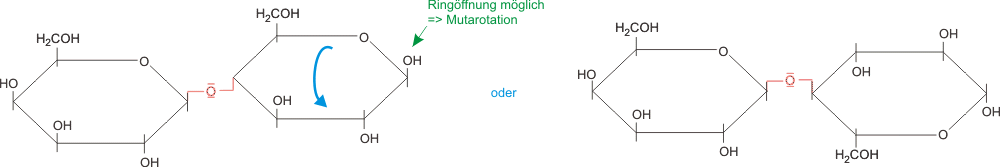 Bildung von Lactose aus Glucose und Galactose