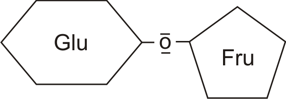 Schemaskizze Glucose und Fructose