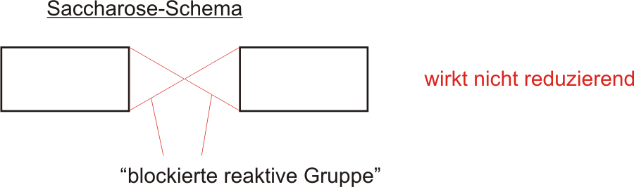 Schema Saccharose - blockiertes anomeres C-Atom