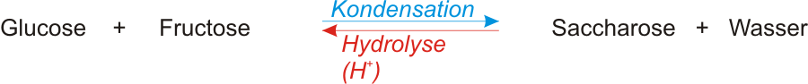 Reaktionsschema zur Spaltung von Saccharose in alpha-D-Glucose und alpha-D-Fructose