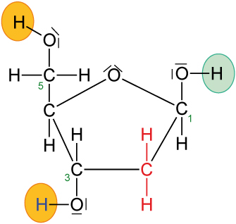 10-ta-desoxyribose