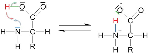 05-01-04-ta-zwitterionen---gleichgewicht