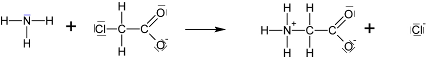 05-01-05-ta-herstellung-von-glycin-02