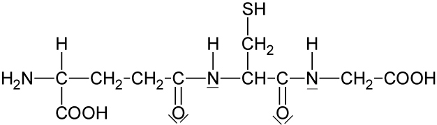 05-02-03-ta-glutathion---gsh---tripeptid---bw
