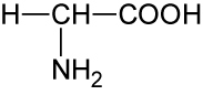 05-02-03-ta-glycin