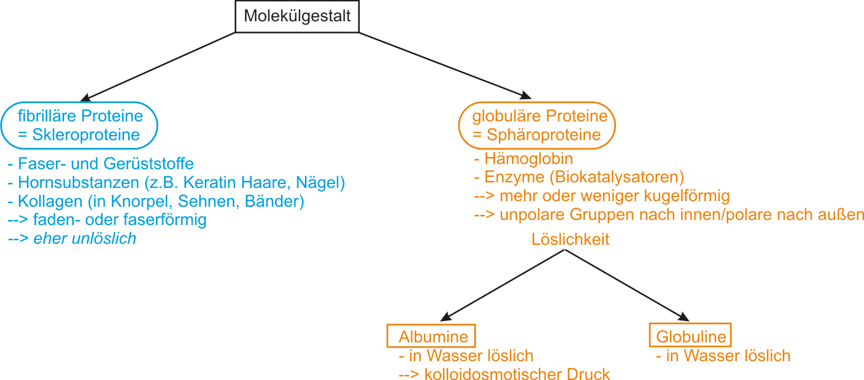 05-03-09-ta-sklero--und-sphaeroproteine