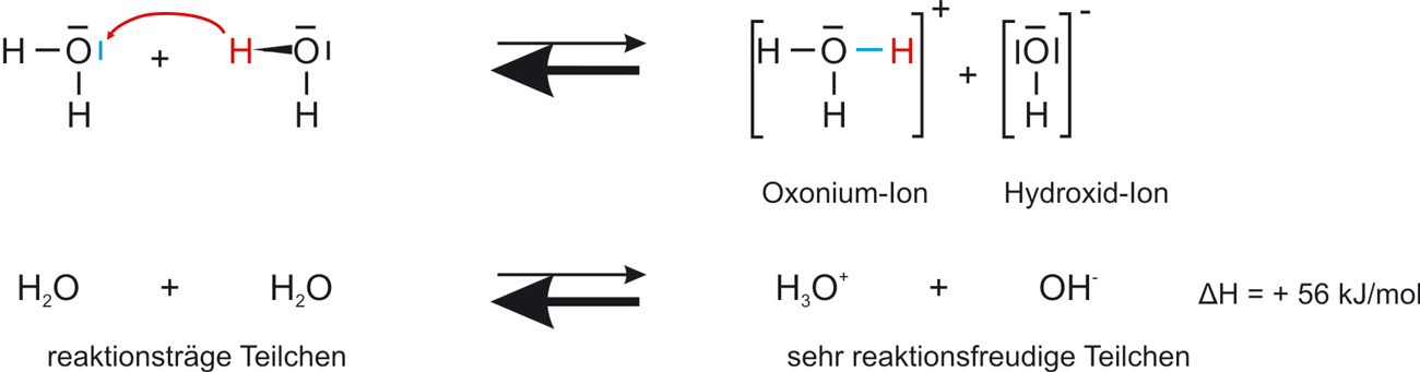 Autoprotolyse von Wasser